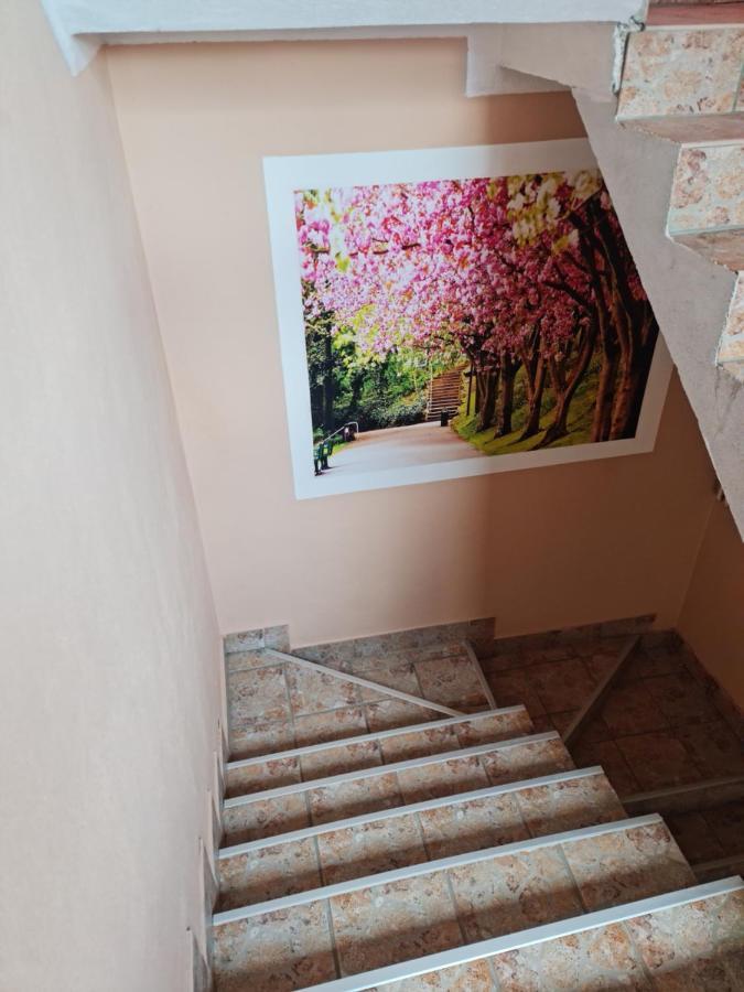 Apartman'S Ana Pale-Oc Jahorina No.2 Buitenkant foto